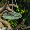 Geckos Lizards Hammock Pad Small Pet Toy Summer Bed Swing Lizards Terrariums Habitat Decoration 54DC