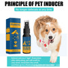 Small Dog Pet Toilet Training Aid Spray Localized Defecation Inducer 30ml gatos productos para mascotas litter & housebreaking