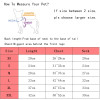 XKSRWE Pet Dog Princess Wedding Dress Tutu Rosette&Bow Dresses Cat Puppy Skirt Spring/Summer Clothes Apparel 2 Colours