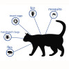 Flea and Tick Protection Adjustable Pet Collar for Dogs Cats 8 Months Pest Control Anti-Mosquito Insect Repellent Pet Accessorie