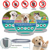 Silicone Pet Collar 8Month Protection Retractable Control Insect Repellent Flea Dog Anti Flea And Ticks For Puppy Cat Large Dogs