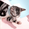 1~10PCS Dog & Cat Collar Flea & Tick Prevention Adjustable Pet Collar Pest Control Rubber Flea Killer Collar Pet