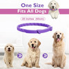 Dog Cat Flea and Tick Calming Pheromones Collar 3 Packs Lasts 60 Days Adjustable Comfortable Collar for Small Medium Large Dogs Dog Cat Flea and Tick Calming Pheromones Collar 3 Packs Lasts 60 Days Adjustable Comfortable Collar for Small Medium Large Dogs