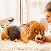 Pet Skin Spray Fleas Tick & Mosquitoes Spray Natural Care Flea And Tick Spray Fleas Control Prevention For Dogs And Cats