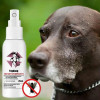 Pet Skin Spray Tick Spray Fleas For Cat Treatments For Dogs Fleas Killers Soothing Grooming Spray Pet Puppy Kitten Healthy Care