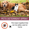 Pet Skin Spray Tick Spray Fleas For Cat Treatments For Dogs Fleas Killers Soothing Grooming Spray Pet Puppy Kitten Healthy Care