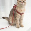 Dog Harness Leash Collar Set Combo Escape Proof Easy Control Accessory Bow Design Dog Collar Leash Outdoor Walking Pets Supplies