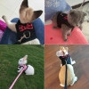 Pet Cat Cute Bow Harness and Leash Set soft Mesh Breathable Vest For puppy Chest strap Collar Outdoor Walking Training Supplies Pet Cat Cute Bow Harness and Leash Set soft Mesh Breathable Vest For puppy Chest strap Collar Outdoor Walking Training Supplies