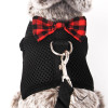 Pet Cat Cute Bow Harness and Leash Set soft Mesh Breathable Vest For puppy Chest strap Collar Outdoor Walking Training Supplies Pet Cat Cute Bow Harness and Leash Set soft Mesh Breathable Vest For puppy Chest strap Collar Outdoor Walking Training Supplies