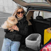 Car Pet Bed Dog Car Seat Pet Dog Car Seat With Handle Cloth Pet Car Booster Seat For Armrest Center Console Travel Stroller