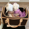 Traveling Pet Bag Waterproof Premium PU Leather Carrying Handbag Luxury Designer Breathable Leather Purse Pet Carrier