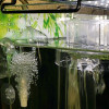 4-6mm Soft Silicone Oxygen Pump Hose For Air Bubble Stone Professional Aquarium FishTank Pond Pump Flexible Silicone Tube