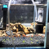 Silent Mini Water Pneumatic Built-in Filter Aquarium Air Pump Biochemical Sponge Filters For Fish Bowl Oxygen Pumps Accessories