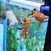 1-3Pcs Mini Cartoon Dog Ornament Resin Figurine DIY Crafts Statue for Fish Tank Fishbowl Aquarium Accessories Home Decoration