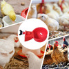 6Pcs Chicken Feeder Automatic Livestock Feeding Watering Supplies Farm Animal Drinking Water Feeder Chick Coop Accessories