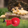 6/12pcs Automatic Chicken Water Cups Poultry Waterer Bowl Chicken Coop hens Feeder Drinker Cups for Rabbits Duck Goose Bird