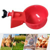 30-6PCS Automatic Chicken Water Cup Chicken Duck Drinking Cup Easy to Install Plastic Poultry Farm Water Drinking Chicken Feeder