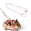 New Small Pet Adjustable Soft Harness Leash Bird Parrot Mouse Hamster Ferrets Rat Pet Pig Leash