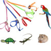 Pet Harness Reptile Leash Turtle Lizard Adjustable Outdoor Training Soft Strap Tortoise Reptile Adjustable Leashes Colorful Pet Harness Reptile Leash Turtle Lizard Adjustable Outdoor Training Soft Strap Tortoise Reptile Adjustable Leashes Colorful