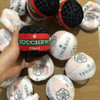 INS Luxury Squeak Plush Toy for Dog, Bone Cup, Chew Toy, Unique Design, Luxury Brand, Fashion Design, Passion for Pet Supplies