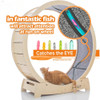 Cat Treadmill,Exercise Wheel for Running, Spinning, Scratching, and Climbing for Indoor Cats, Premium Birch Wood