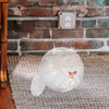 Hamster Running Ball Chinchilla Clear Ball Hamster Ball Small Pet Running Exercise Ball Guinea Pig Playing Ball Toy