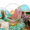 Super Silent Hamster Running Wheel Hamster Toy Hamster Cage Landscaping Supplies Hamster Exercise Wheel Hamster Accessories