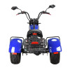 Electric Tricycle Motorcycle for Adults, Leisure Walking Battery, Outdoor Golf Cart, Bicycle, Range 55km, 60V, 28A, 3000W
