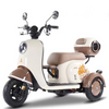 60V Electric Tricycle Lithium Battery Vehicle 75Km Range Motorcycle with LED Light