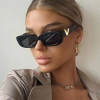 Retro Cool Small Frame Cat Eye Sunglasses for Women 2023 Luxury Sun Glasses Men Fashion Jelly Sunglasses with Metal Hinges