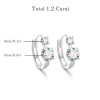 TBCYD 5mm D Color Moissanite Hoop Earrings For Women With GRA S925 Sterling Silver Ear Clasps Buckle Original New Fine Jewerly