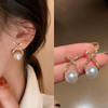 925 Silver Needle Hollow Crystal Swan Earrings For Women Korean Jewelry 2023 Trending New Luxury Animal Pearl Stud Earrings Gift