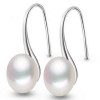 Delysia King Exquisite Fashion Women Earrings (color:silver,gold)
