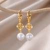 Imitation Pearl Earrings For Women Stainless Steel Geometric Hoop Pearl Earring Wedding Bridesmaid FashionJewelry Gift 2024