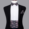 YF-2006 Hi-Tie Luxury Designer Paisley Red Cummerbund Bow tie Set Formal Tuxedo Corset Elastic Belt for Men Wedding Cummerbunds