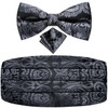 Hi-Tie Silk Black Floral Mens Cummerbunds Vintage Jacquard Bowtie Hanky Cufflinks Cummerbund Belt Corset For Male Wedding Events