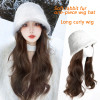 Chic Beautiful Wigs Hat Women Long Curly Wig Hats One Piece Wig Hat Fashion Wig Rabbit Fur Fisherman Hat Casual Wig Bucket Hat