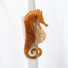 11cm Large Seahorse Hair Clip Marine Series Popular Hair Catches Acetate Hair Claw Exquisite HairClips for Women HairPins