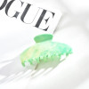 YHJ New French Simple Hair Claw Acrylic Claw Clip Stripe Cream Floral Crab Hair Clip Retro Popular Hair Catches for Women Girls YHJ New French Simple Hair Claw Acrylic Claw Clip Stripe Cream Floral Crab Hair Clip Retro Popular Hair Catches for Women Girls