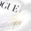 YHJ New French Simple Hair Claw Acrylic Claw Clip Stripe Cream Floral Crab Hair Clip Retro Popular Hair Catches for Women Girls YHJ New French Simple Hair Claw Acrylic Claw Clip Stripe Cream Floral Crab Hair Clip Retro Popular Hair Catches for Women Girls