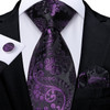 Black And Silver Paisley Floral Men's Ties Gray Blue Pink Wedding Accessories Neck Tie Set Handkerchief Cufflinks Gift For Men