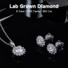 Luxury Sunflower Design Lab Grown Diamond Pendant Stud Earrings 925 Sterling Silver 1 Carat Diamond Jewelry With Certificate