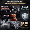 Luxury Sunflower Design Lab Grown Diamond Pendant Stud Earrings 925 Sterling Silver 1 Carat Diamond Jewelry With Certificate