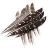 Turkey Feathers Arrows | Feather Arrow Bow | Arrow Accessory | Accmos