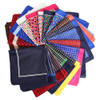 HOT!! 33 x 33CM Mans Polka Dot Paisley Pocket Square Hankies Chest Towel Big Size Handkerchief For Men's Suit Wedding Party