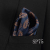 Vangise Mens Pocket Squares Dot Pattern Blue Handkerchief Fashion Hanky For Men Business Suit Accessories 22cm*22cm