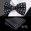 Hi-Tie 60 Color Classic Bow Ties for Men Silk Butterfly Pre-Tied Male Bowtie Pocket Square Cufflinks Set Jacquard Paisley Floral