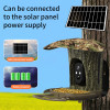 WiFi 4G SIM Bird Detection Outdoor Bird Feeder with Camera Solar Panel