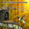 WiFi 4G SIM Bird Detection Outdoor Bird Feeder with Camera Solar Panel
