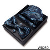 Luxury Great Quality Tie Hanky Pocket Squares Cufflink Set Necktie Box hombre Printed Clothing Accessories Office
